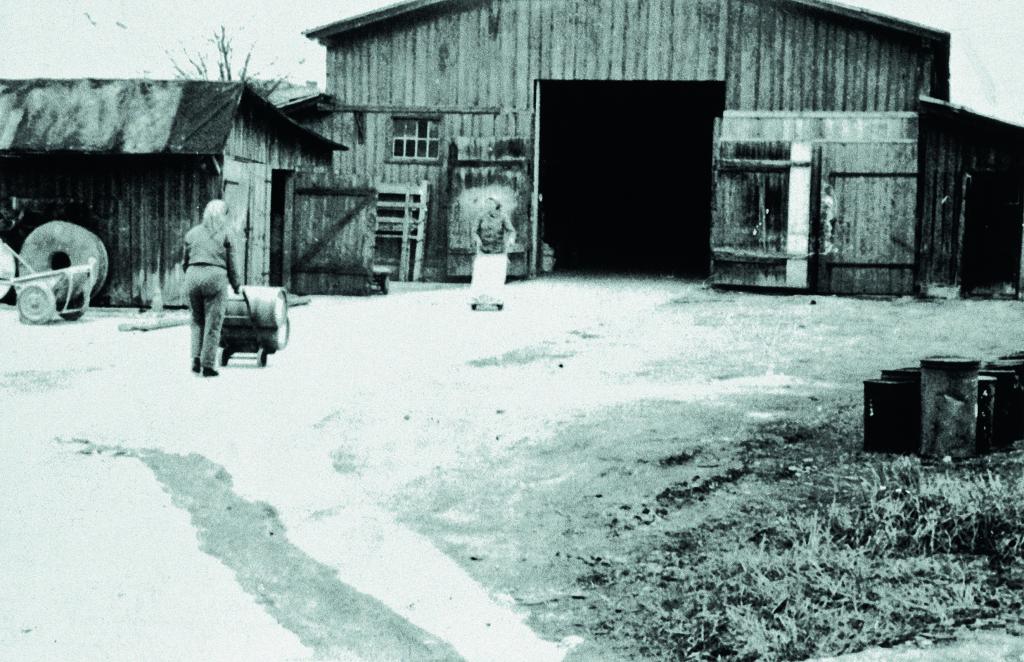 JUB začetki